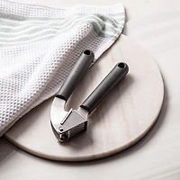 Cuisinart Green Gourmet Complete Garlic Press (Grey)