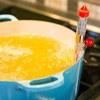 Escali Essential Thermometer Candy-Deep Fry (Red/White)