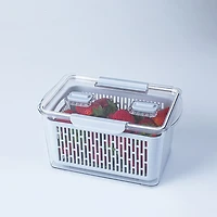 KSP Fridgestor Produce Keeper