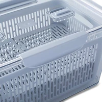 KSP Fridgestor Produce Keeper