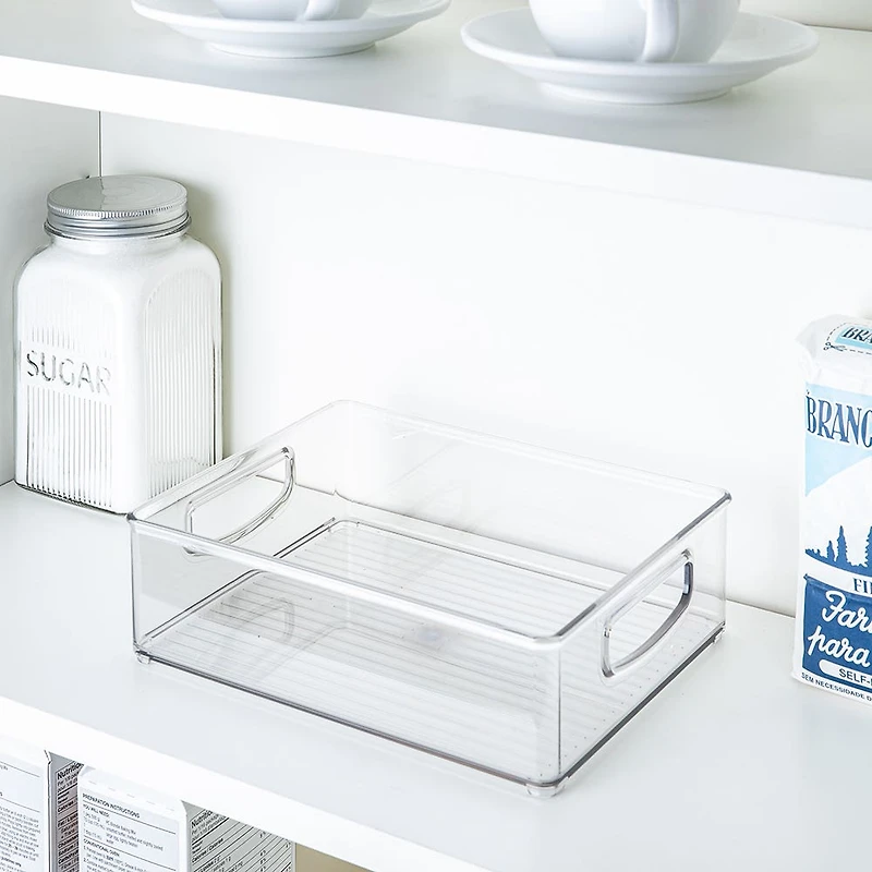 iDesign Linus Fridge 'N Pantry Binz 10x8x3"