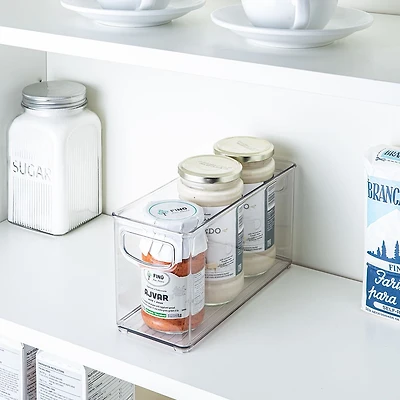iDesign Linus Fridge 'N Pantry Binz 10x4x5"