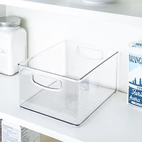 iDesign Linus Fridge 'N Pantry Binz 10x8x5"