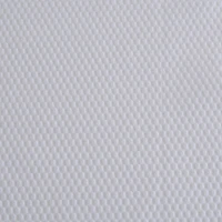 Moda At Home Polyester Fabric 'Delano' Shower Curtain (White)