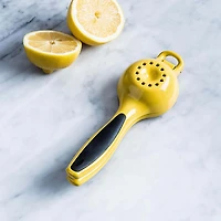 OXO Good Grips Citrus Juicer