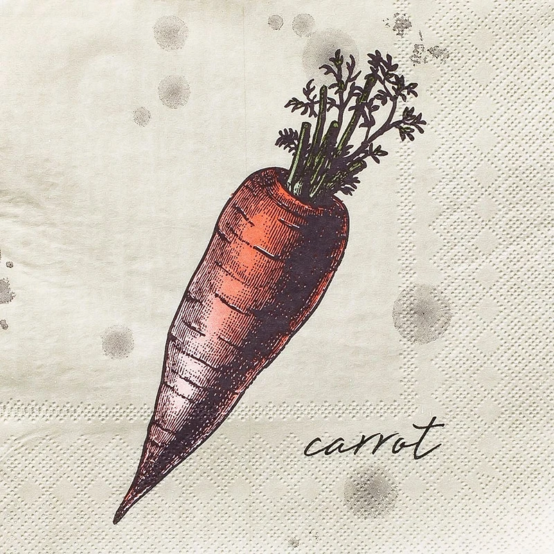 Harman 3-Ply 'Carrot' Paper Napkin - Set of 20 (Natural)