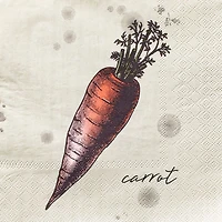 Harman 3-Ply 'Carrot' Paper Napkin - Set of 20 (Natural)