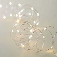 Fifth Season L.E.D. '40-Light' String Light (Warm White)