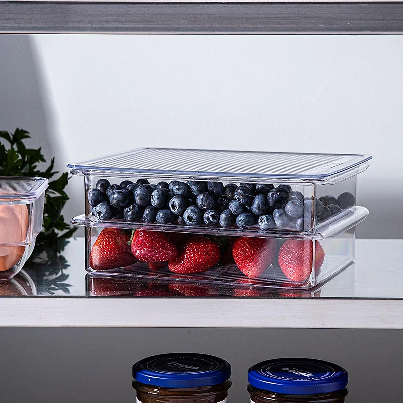 KSP Fridgestor 'Shallow' Fridge Bin with Lid - Set of 2 (8.7x6.7x2")