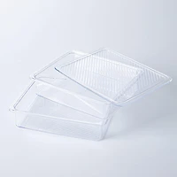 KSP Fridgestor 'Shallow' Fridge Bin with Lid - Set of 2 (8.7x6.7x2")