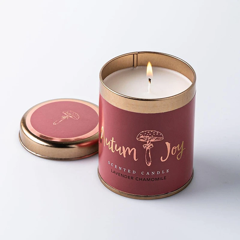 Koopman Christmas Scented Metal Jar Candle with Lid (Asstd.)