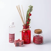 Koopman Christmas Reed Diffuser & Candle - Set of 4 (Asstd.)