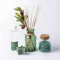 Koopman Christmas Reed Diffuser & Candle - Set of 4 (Asstd.)