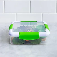 Locksy Click 'N' Go 988ml Lunch Box Container (Green)
