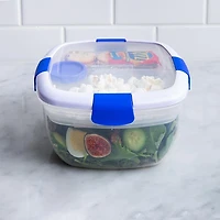 Locksy Click 'N' Go Salad Container