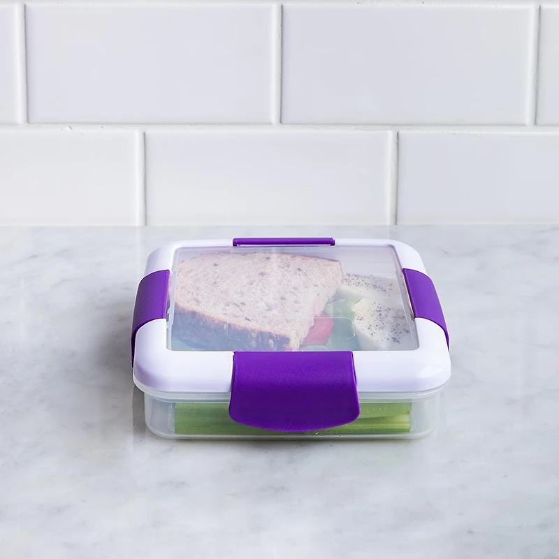 Locksy Click 'N' Go 450ml Sandwich Container Box (Purple)