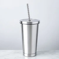 KSP Cool It Double Wall Tumbler with Straw (Stainless Steel)