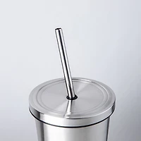 KSP Cool It Double Wall Tumbler with Straw (Stainless Steel)