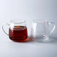 KSP Monza Borosilicate Glass Mug - Set of 2 (Clear) 480ml