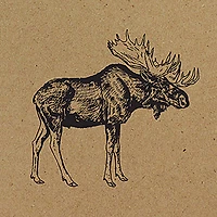Harman 3-Ply 'Moose' Paper Napkin (Black)