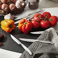 Henckels Steak Knife - Set of 6 (Stainless Steel)