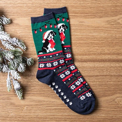 Hotsox Women's 'Border Collie' Crew Socks - Set of 2