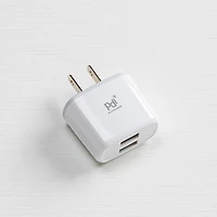PDI Universal Wall Charger USB with 2 Slots (Asstd.)