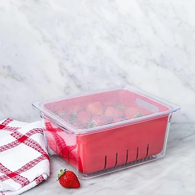 KSP Fridgestor Berry Keeper Basket (Red) 6.7x8.7x4"