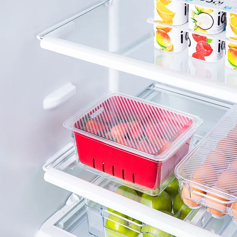 KSP Fridgestor Berry Keeper Basket (Red) 6.7x8.7x4"