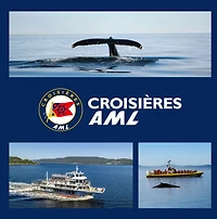 WHALE-WATCHING CRUISE AND EXPLORATION OF THE SAGUENAY FJORD BY BOAT