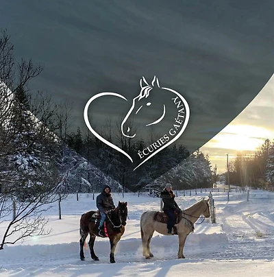 BALADE PRIVÉE EN TRAINEAU