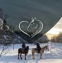 BALADE PRIVÉE EN TRAINEAU
