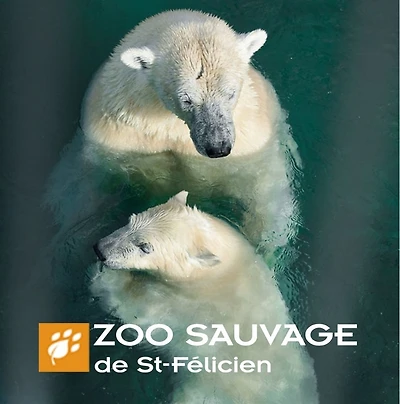 FORFAIT DEUX ADULTES - HIVERNAL