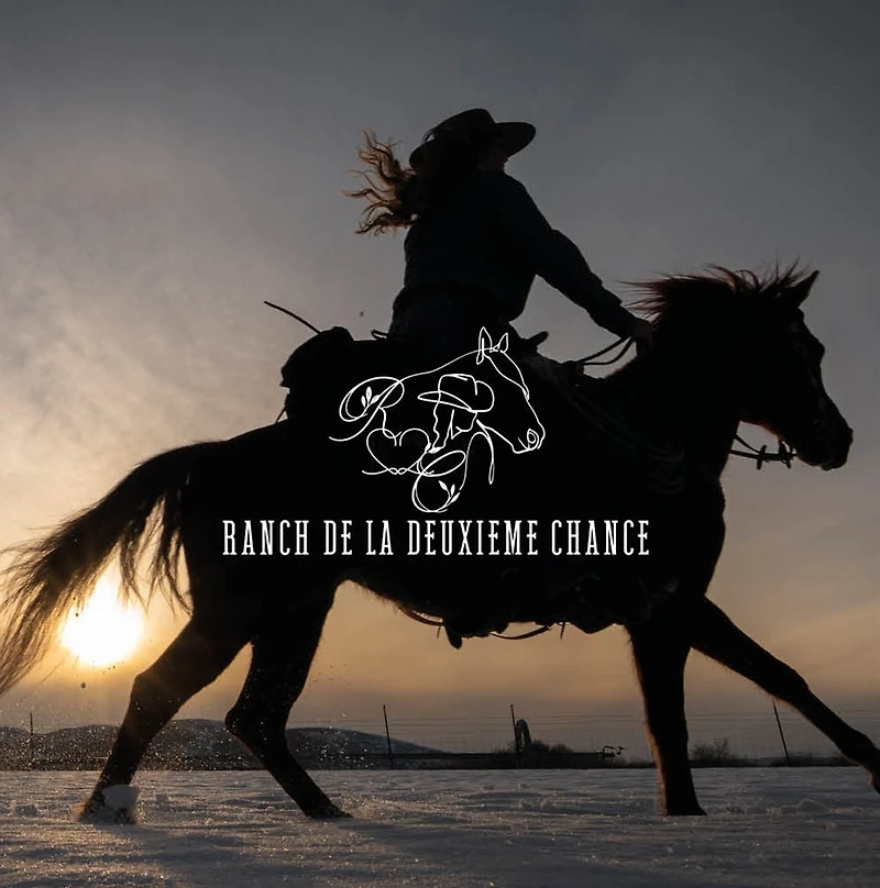 COURS D'ÉQUITATION