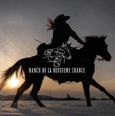 COURS D'ÉQUITATION