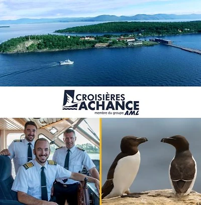 CROISIÈRE AUX PETITS PINGUINS