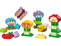 Creative Garden & Flowers