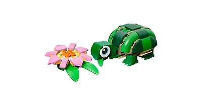 Turtle with a Water Lily Flower