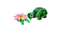 Turtle with a Water Lily Flower