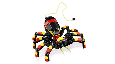 Wild Animals: Surprising Spider
