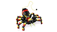 Wild Animals: Surprising Spider