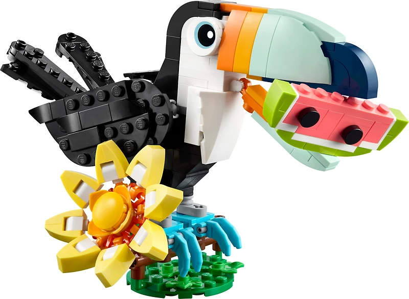 Wild Animals: Tropical Toucan