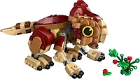 Baby Dinosaur Dolores: Aquilops