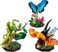 The Insect Collection