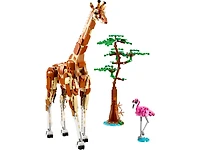 Wild Safari Animals
