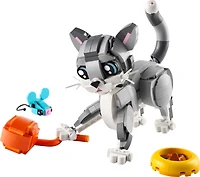 Playful Cat
