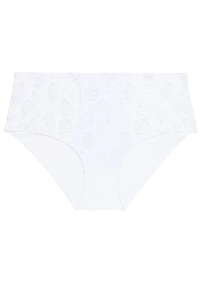 La culotte taille haute Lumineuse