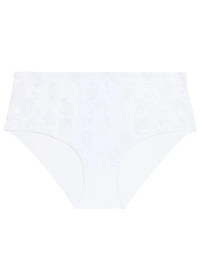 The Lumineuse full brief