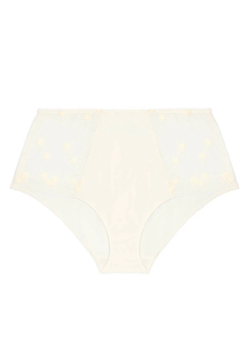 Instant Full Brief Panty