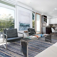 Spectrum Linear Area Rug